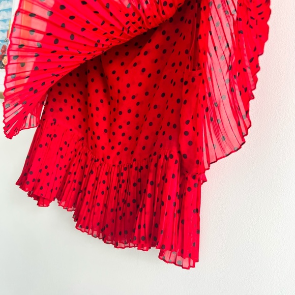 Zara Pleated Tiered Polka Dot Blouse - Picture 8 of 9